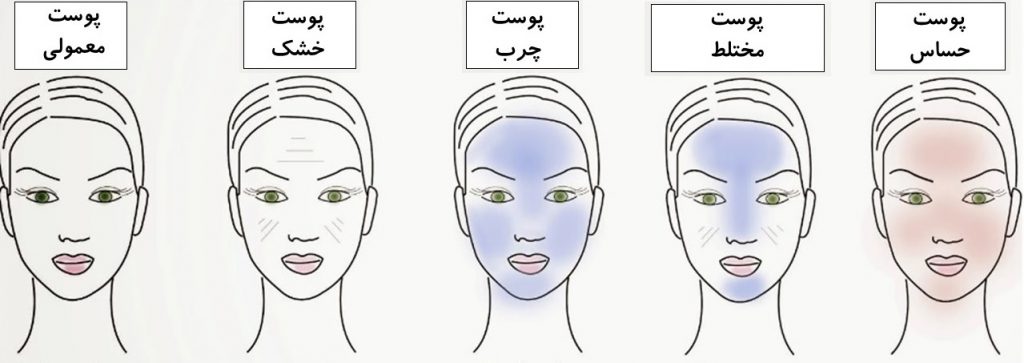 انواع مختلف پوست