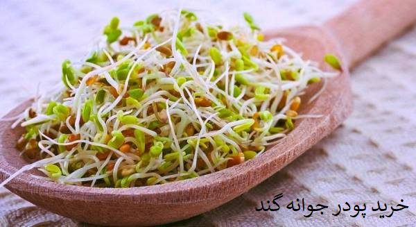 خرید پودر جوانه گند
