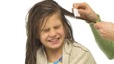 پودر شپش نی نی سایت