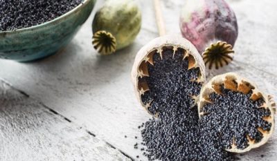 روغن و پماد خشخاش روجا