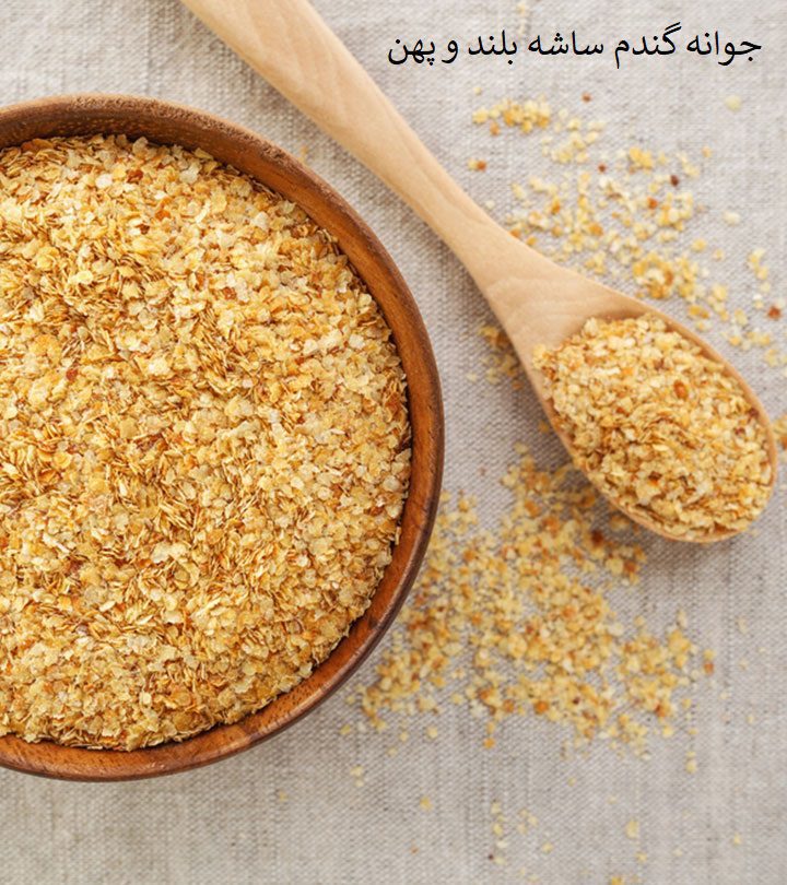 جوانه گندم ساشه بلند و پهن